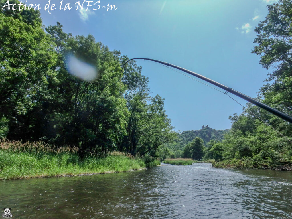Action de la NFS-m