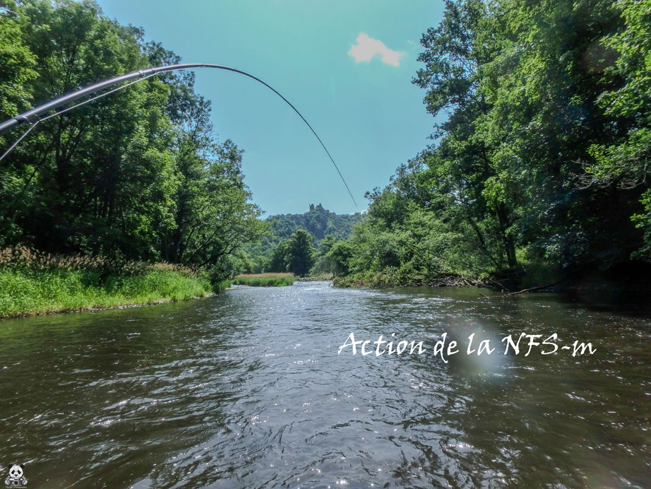 action de la canne NFS-m