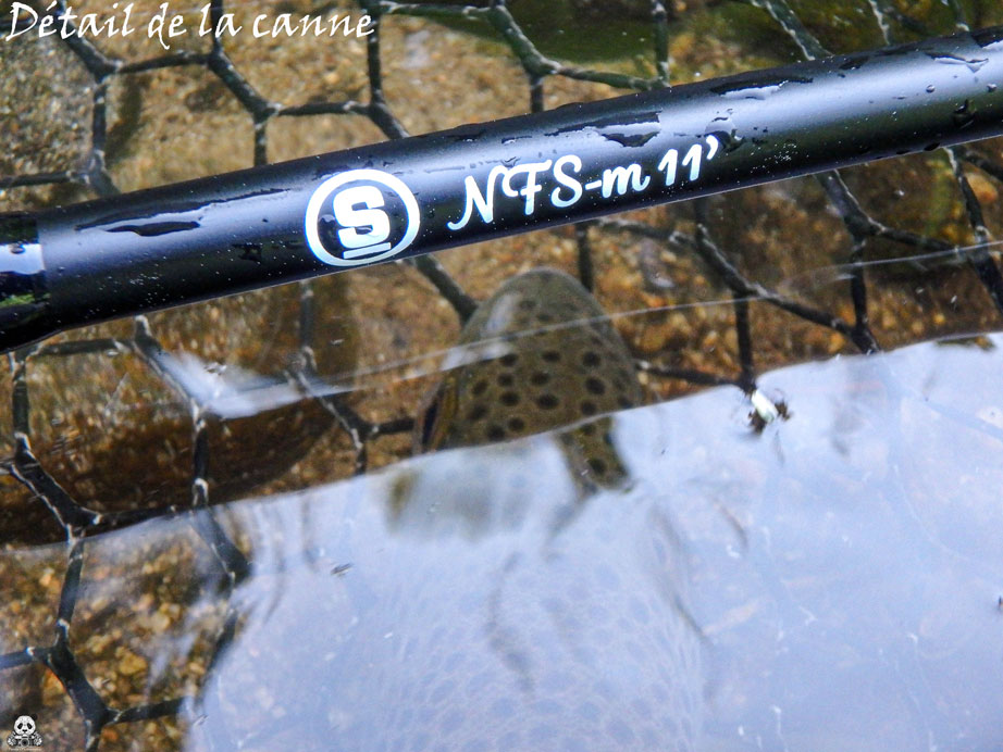 Détail de la canne NFS-m