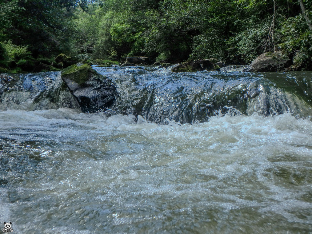 L'eau en mouvement