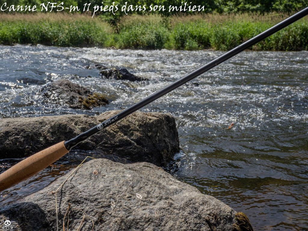 NFS-m 11 pieds dans son milieu
