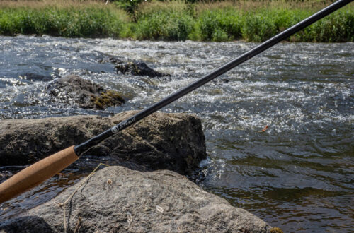 NFS-m 11 pieds dans son milieu