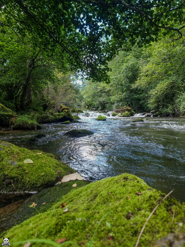Paysage de la Haute Sioule
