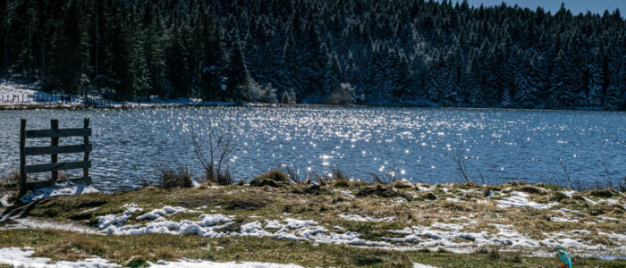Bord du lac de Servière