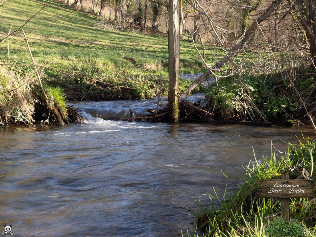 Confluence de la Sioule et du Sioulet