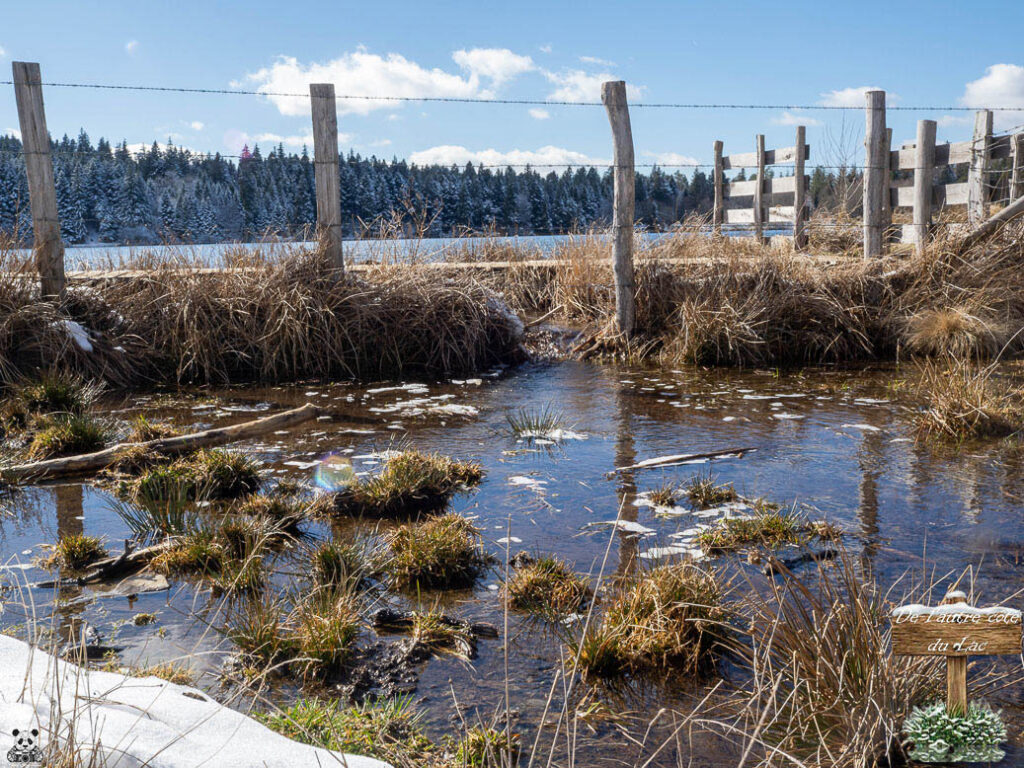 De l'autre côté du lac