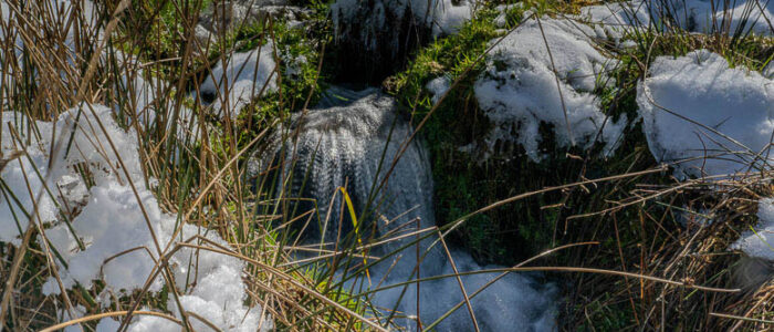 Fonte de neige