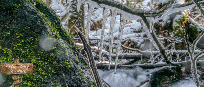 Prise dans la glace