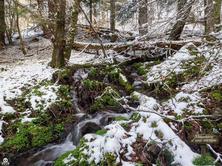naissance d'une rivière